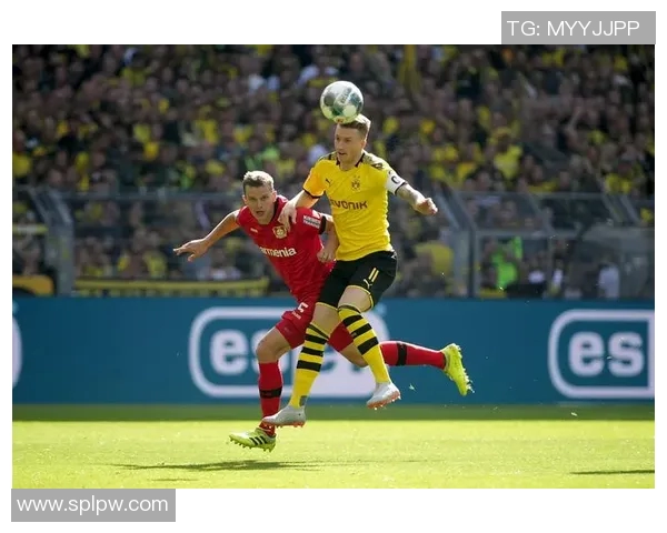 勒沃库森与多特蒙德激战17180场次分析与精彩回顾